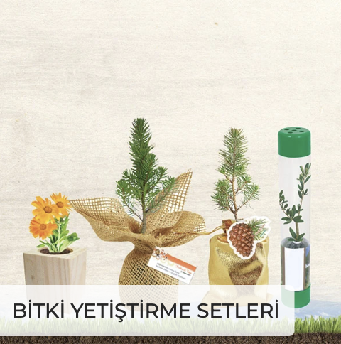 Bitki Yetiştirme Setleri